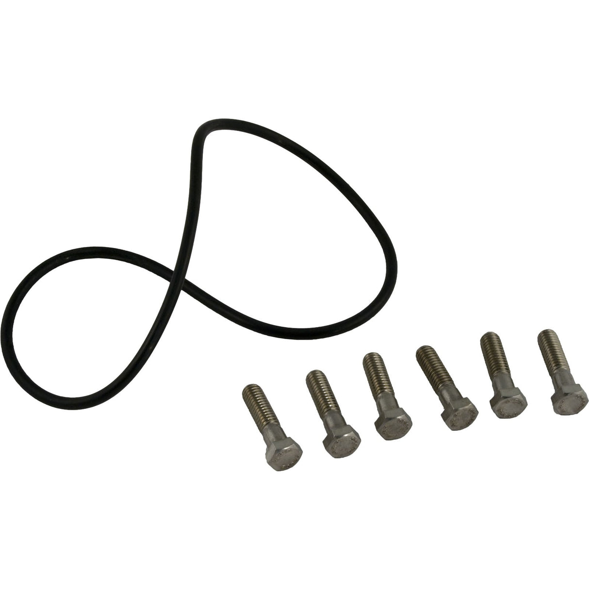 Hardware Kit, Zodiac Jandy FHPF, Seal Plate : R0480500