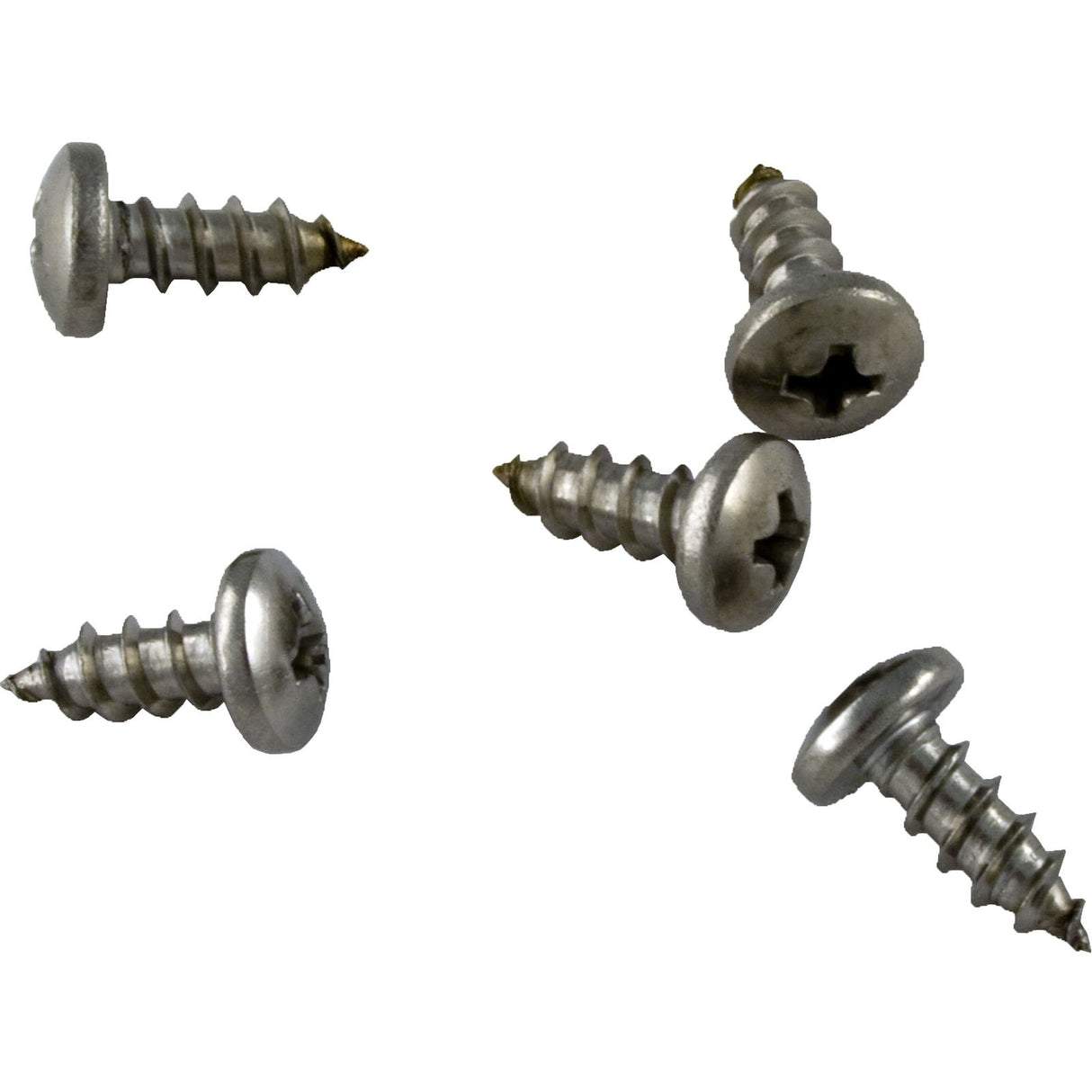 Screw, Pentair Letro 3-Wheel Cleaner, Swing Axle, Quantity 5 : EC30