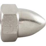 Wetend Assembly Nut, Pentair IntelliFlo XF, 3/8-16, Acorn : 071413