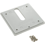 Jandy Pro Series Minijet Cover Plate, Screws, Dove Gray : MJ6320