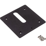 Jandy Pro Series Minijet Cover Plate, Screws, Black : MJ6350