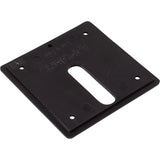 Jandy Pro Series Minijet Cover Plate, Screws, Black : MJ6350