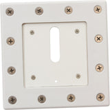 Jandy Pro Series Vinyl Pool Minijet Cap, Screws White : V100