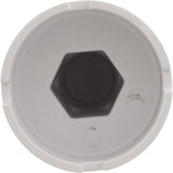 2In Insider Jet Wrench/ Test Plug : 25590-000-200