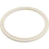 Sundance Intellijet Dbl O-Ring Body Gasket/Seal : 6540-524