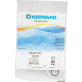 Gasket/O-Ring Kit, Hayward Jet Air III, Wall Fitting/Nozzle : SPX1434JA