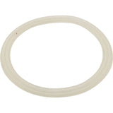 Gasket, Flat, Waterway Power Storm Jet : 711-6608