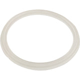 Gasket, O-Ring, Waterway Mini Storm : 711-6910