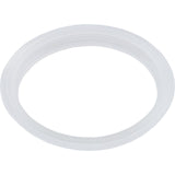 Gasket, "L", Waterway Mini Storm : 711-6900