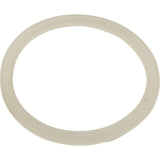 Gasket, Flat, Waterway Poly Storm Jet : 711-4410
