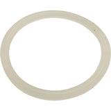 Gasket, Flat, Waterway Poly Storm Jet : 711-4410