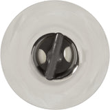 Jet Intl, Jacuzzi/Sun DV Jet, 2"fd, Pulsator, Smth Scal, SS/Gry : 2540-245