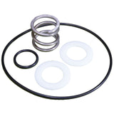 Sprng & O Kit : 14962-0035 - Pentair - 14962-0035 - PartsForSpas.com
