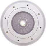 LED Light Bubbler Niche Kit, Pentair ColorVision, Vinyl/Fglss : 580036
