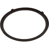 Gasket, Pentair AquaLumin III, Light Lens : 619599Z