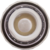 Lens Subassembly, Pentair Fiberworks OptiFusion, w/o Housing : 22102000