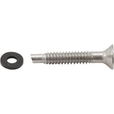 Light Pilot Screw, American Products, Amerlite, SS : 619355Z