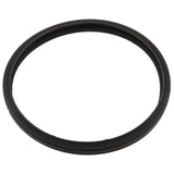 Gasket, Sta-Rite Sunbrite/Sunglow, Light Lens : 05501-0005Z