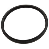 Gasket, Sta-Rite Sunbrite/Sunglow, Light Lens : 05501-0005Z