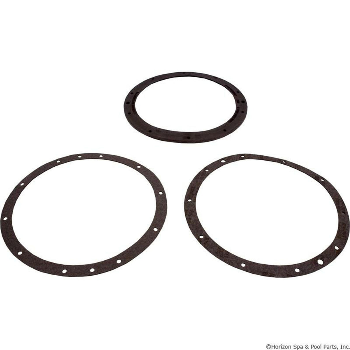 Niche Gskt Kit, PentairAmerlite, 10-Hole, Vinyl, w/Dbl Wall Gskt : 79200700