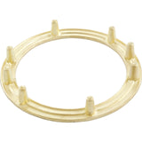 Light Niche Backup Ring, Pentair, AquaLight, Tapped, SS : 79205600