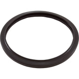 Light Gasket, Zodiac, RGBW LED Pool Light, Silicone : R0790500