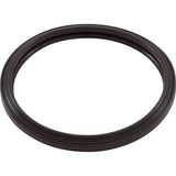 Light Gasket, Zodiac, RGBW LED Pool Light, Silicone : R0790500