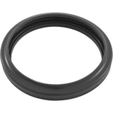 Light Gasket, Zodiac Small LED Light, Spa, Silicone : R0791100