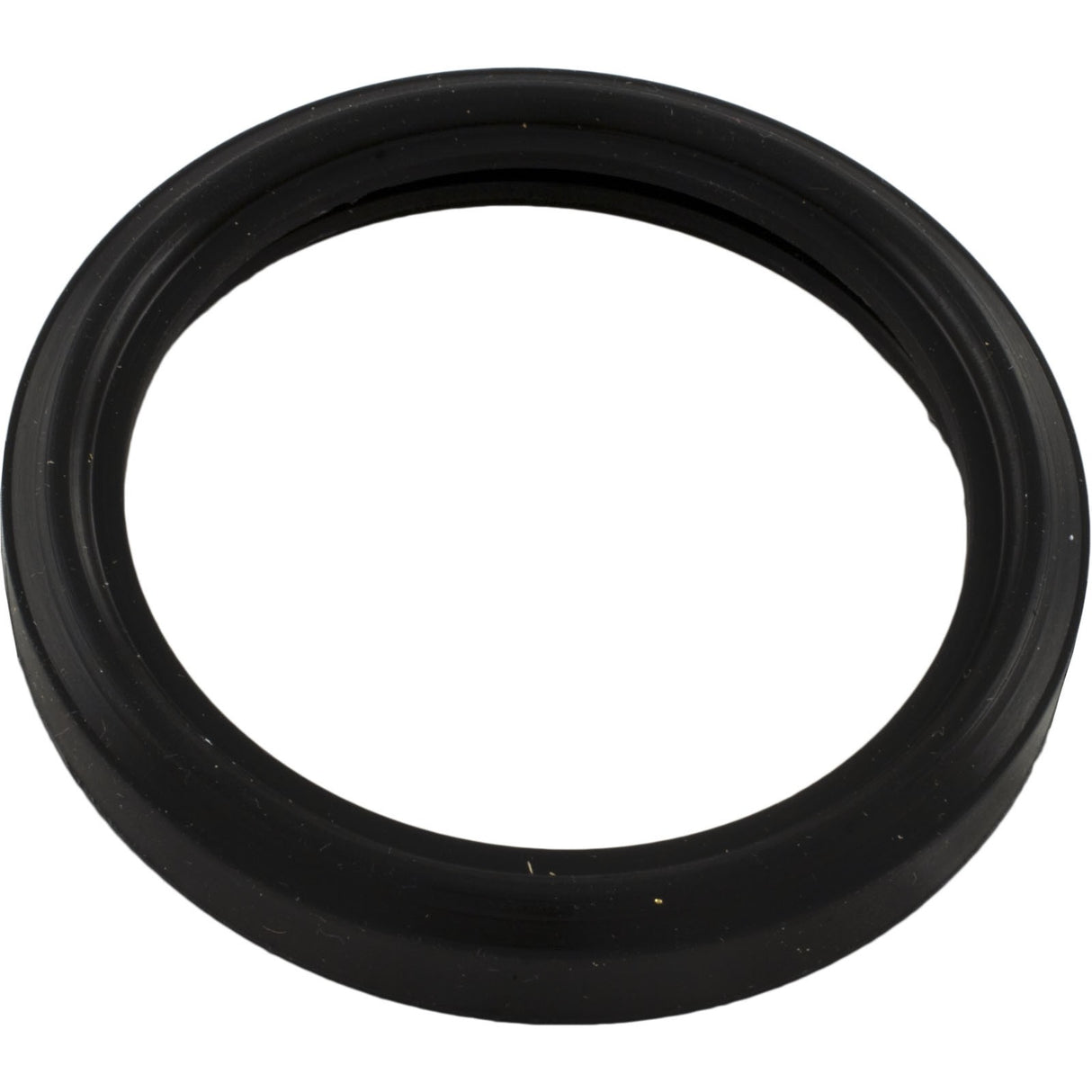 Light Lens Gasket, Hayward, Astrolite II : SPX0590G