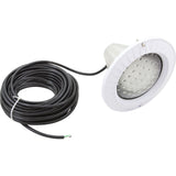 500W/120V Duralite Series 100 Ft Cord : SP0573LN100