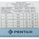 Light, Pentair AmerLite, Halogen, 115v, 500W, 50ft Cord, SS : 78458100