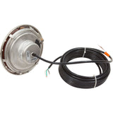 Pool Light, Pent IntelliBrite 5g Color LED, 115v, 100ft Cord : 601002