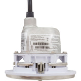 Spa Light, Hayward ColorLogic 4.0, LED, 115v, 30' Cord, SS : SP0535SLED30