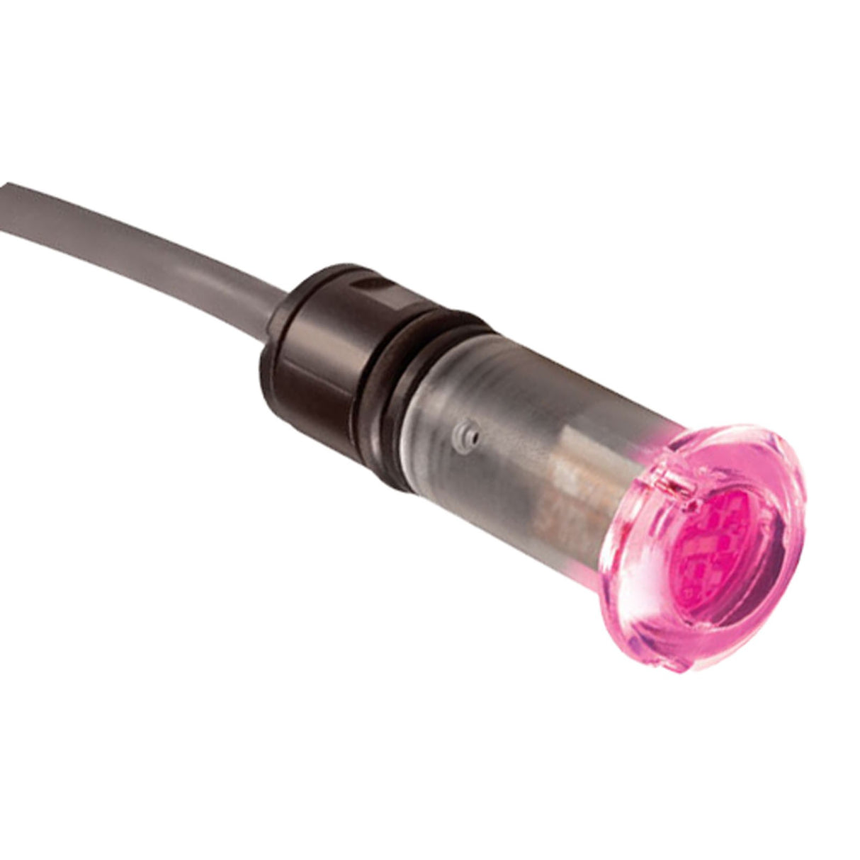 Pool/Spa Light, Hayward ColorLogic 80, LED, 1/2", 12v, 50ft : LMCUS11050