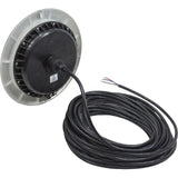 PAL EvenGlow Large Niche Light, RGB, 12vdc 80ft, SS Escutcheon : 64-EGL-80
