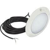 PAL EvenGlow Lrg Niche Lt, Cool White, 12v ac/dc, 80ft, SS Esc : 64-EGLCW-80