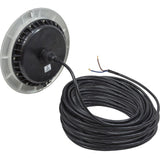 PAL EvenGlow Lrg Niche Lt, Cool White, 12v ac/dc, 150ft, SS Esc : 64-EGLCW-150