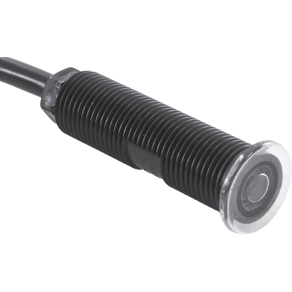 Light, PAL Mini, 12v, Cool White LED, 66 foot Cord, 2 Wire : 41-PCL20W20