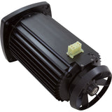 Motor, Jacuzzi, VSP250, 2.5hp, Variable Speed : 71422