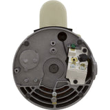Motor, Pentair SF/WF, 0.75hp, 115/208-230v, 1-Spd, SQFL, EE, Full : 355008S