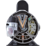 Motor, Century, 1.0 Horsepower, 115v, 2 Speed, 48 Frame : BN37V1