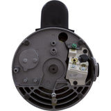 Motor, Century, 0.75hp, 115v/230v, 1-Spd, 56Yfr, SQFL, EE : B2661
