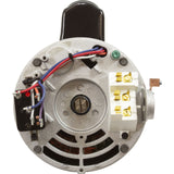 Motor, US Motor, 1.5hp, 2-Spd, 230v, 56YFr, SQFL, Full Rate, PE : ASB2983