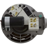 Motor, Nidec/US Motor, 1.0hp, 115/230v, 48Yfr, SQFL : ASQ165