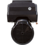 Motor, US Motor Neptune, 1.25thp, SQFL, Var-Spd, 115/230v, 48Y : NPTQ125