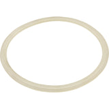 Skimmer Body Float Valve Gasket : 25140-000-040