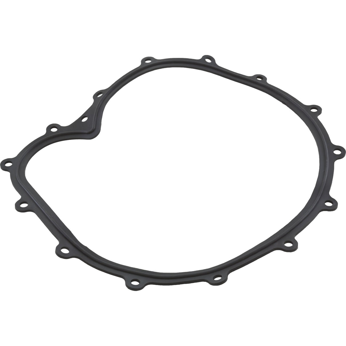Faceplate Gasket, Big Red Pump : 711-2610