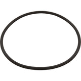O-Ring, Hayward Leaf Canisters : AXW542