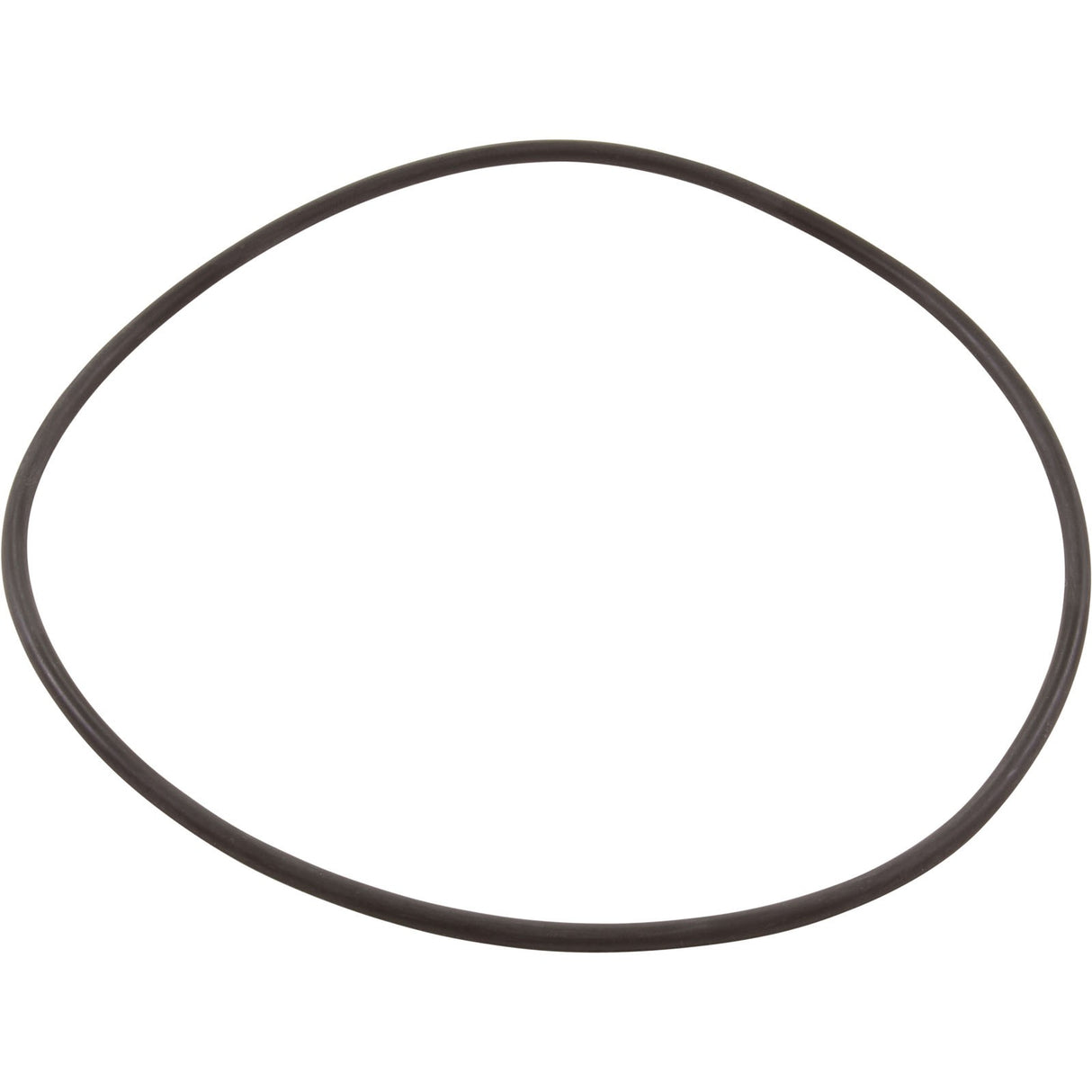 Zodiac Nature2 Professional G / M / A Vessel O-Ring For 1 Pi : W13061