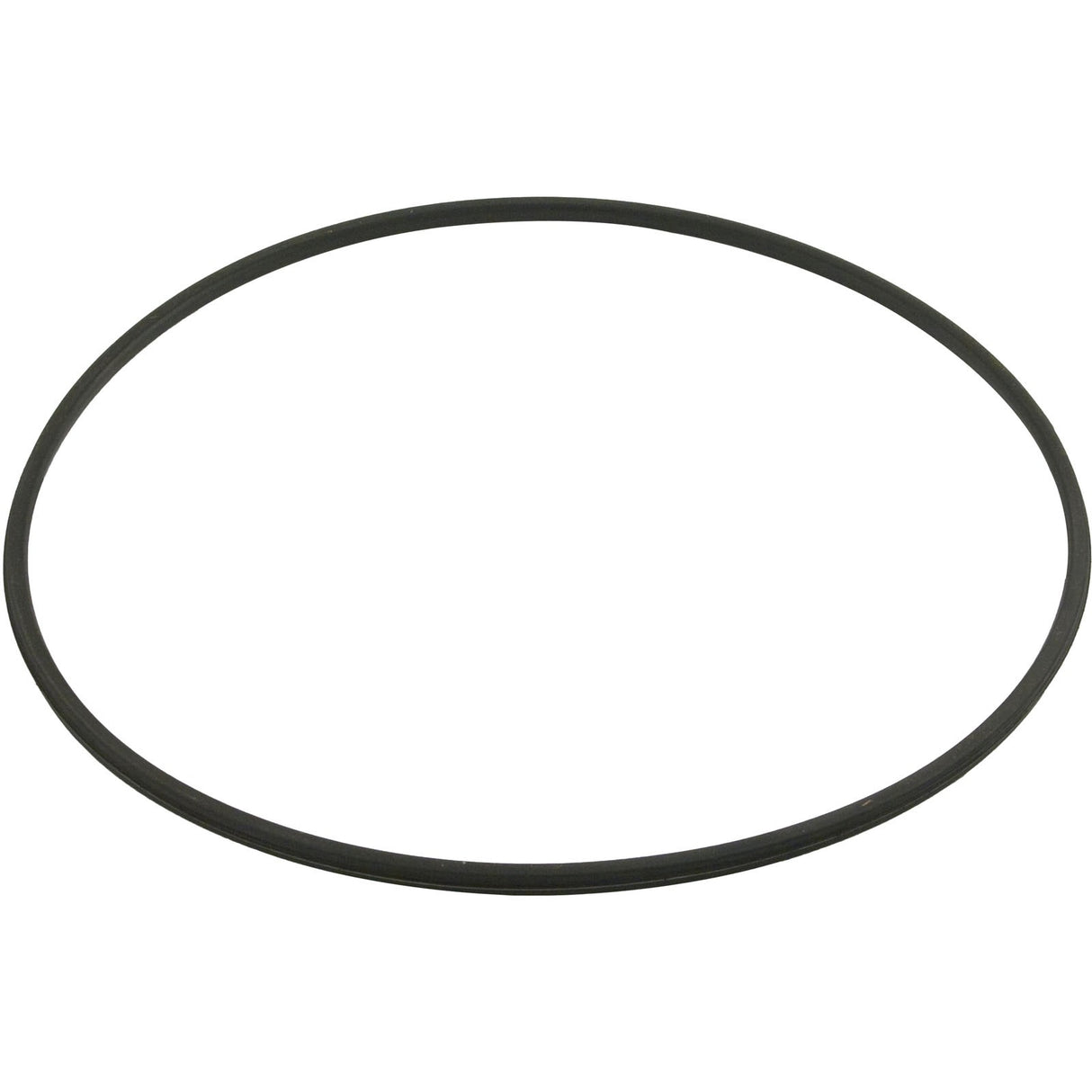 Gasket, Hayward Swimclear, Tank Lid, 19-13/16"ID, 20-11/16"OD : DEX2422Z2